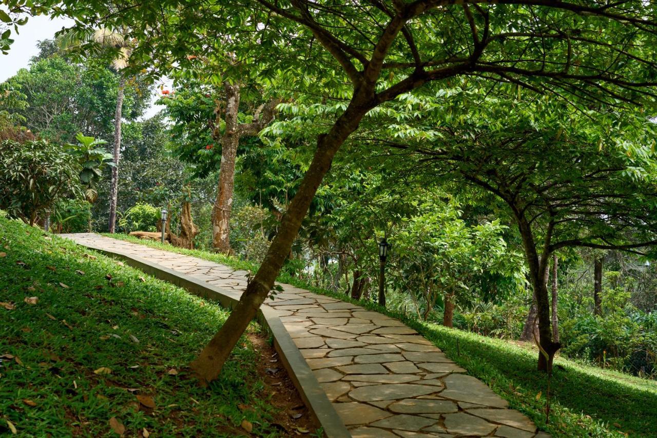 Haze And Kites Resort 蒙纳 外观 照片